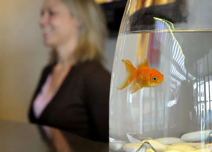 La Maison Regent & - De La Baule Διαμέρισμα Pornichet